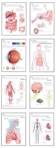 Human Anatomy Chart Pack de Scientific Publishing