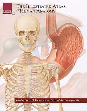 The Illustrated Atlas of Human Anatomy: A Collection of 25 Anatomical Charts of the Human Body de Scientific Publishing