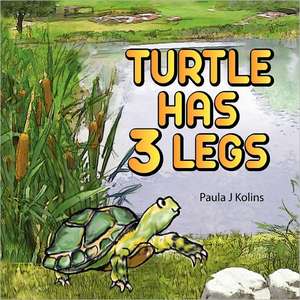 Turtle Has 3 Legs de Paula J Kolins