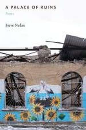 A Palace of Ruins de Steve Nolan