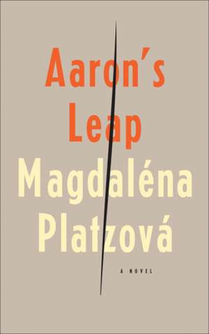 Aaron's Leap de Magdalena Platzova