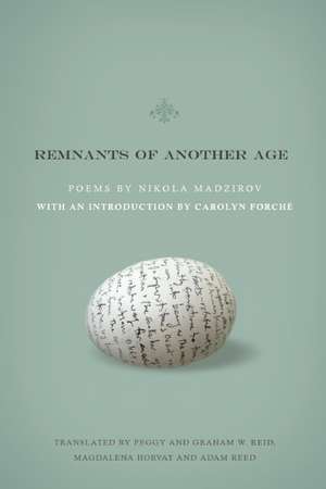 Remnants of Another Age de Nikola Madzirov