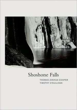 Shoshone Falls de Thomas Joshua Cooper