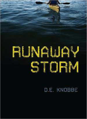 Runaway Storm de D. E. Knobbe