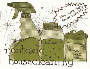 Nontoxic Housecleaning de Raleigh Briggs