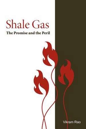 Shale Gas de Rao Ph. D., Vikram