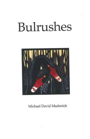 Bulrushes de Michael David Madonick