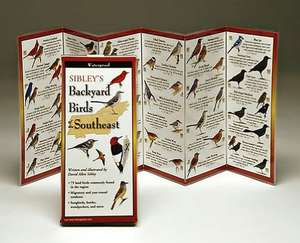 Sibley's Backyard Birds of the Southeast: The Key to Creating Your Reality