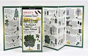 Sibley's Trees of Trails and Forests of the Northeast & Upper Midwest de David Sibley