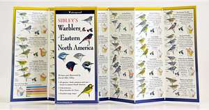 Sibley's Warblers of Eastern North America de David Sibley