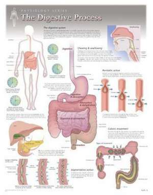 The Digestive Process Wall Chart: 8150 de Scientific Publishing