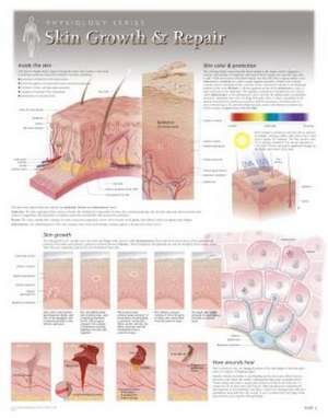 Skin Growth & Repair Wall Chart: 8250 de Scientific Publishing