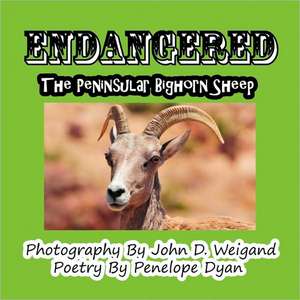 Endangered--The Peninsular Bighorn Sheep de Penelope Dyan