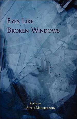 Eyes Like Broken Windows de Seth Michelson