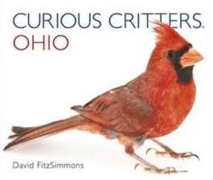 Curious Critters Ohio de David FitzSimmons