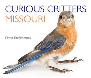 Curious Critters Missouri de David FitzSimmons