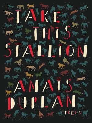 Take This Stallion de Anaïs Duplan