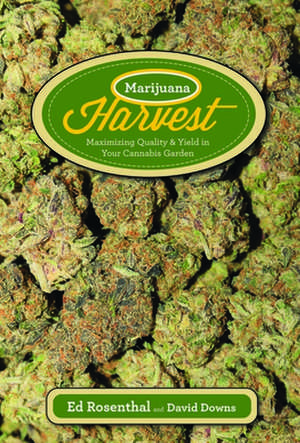 Marijuana Harvest: How to Maximize Quality and Yield in Your Cannabis Garden de Ed Rosenthal