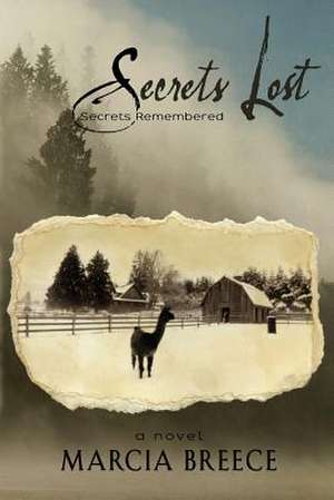 Secrets Lost de Marcia Breece