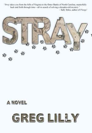 Stray de Greg Lilly
