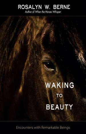 Waking to Beauty: Encounters with Remarkable Beings de Rosalyn W. Berne