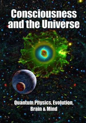 Consciousness and the Universe: Quantum Physics, Evolution, Brain & Mind de Stuart Hameroff