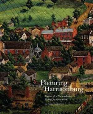 Picturing Harrisonburg: Visions of a Shenandoah Valley City Since 1828 de David Ehrenpreis