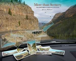 More Than Scenery de Janet L. Pritchard