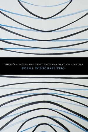 There's a Box in the Garage You Can Beat with a Stick: Selected Poems of Zeeshan Sahil de Michael Teig