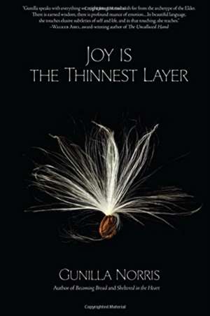 Joy is the Thinnest Layer de Gunilla Norris