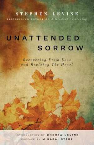 Unattended Sorrow de Stephen Levine