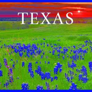 Texas de Tanya Lloyd Kyi