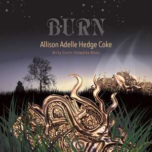 Burn de Allison Adelle Hedge Coke