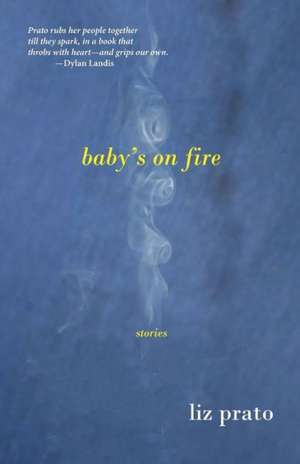 Baby's on Fire: Stories de Liz Prato