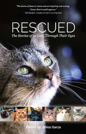 Rescued: The Stories of 12 Cats, Through Their Eyes de Catherine Holm