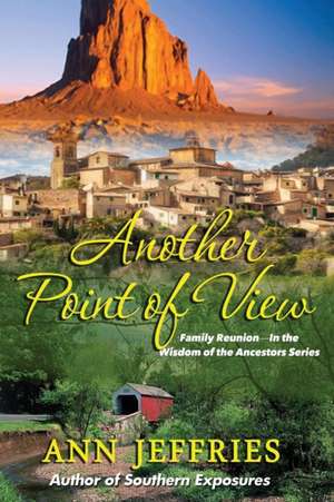 Another Point of View de Ann Jeffries