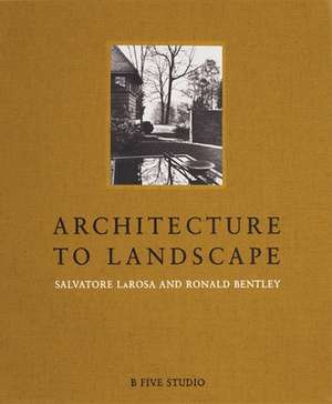 Architecture to Landscape de Salvatore Larosa