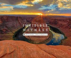 Invisible Witness de Michael Whitworth