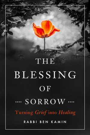 The Blessing of Sorrow de Ben Kamin