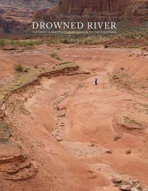 Drowned River de Mark Klett