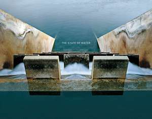 Brad Temkin: The State of Water de Brad Temkin