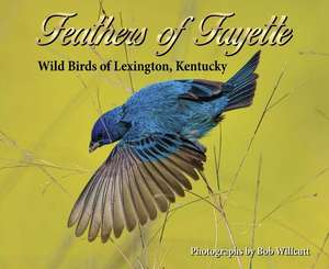 Feathers of Fayette de Bob Willcutt