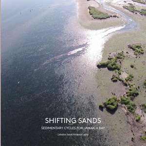 Shifting Sands de Catherine Seavitt Nordenson