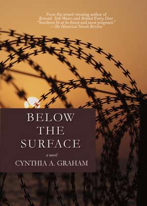 Below the Surface Volume 4 de Cynthia A. Graham