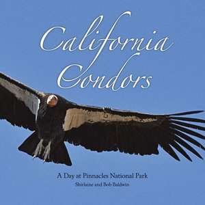 California Condors: A Day at Pinnacles National Park de Shirlaine Baldwin