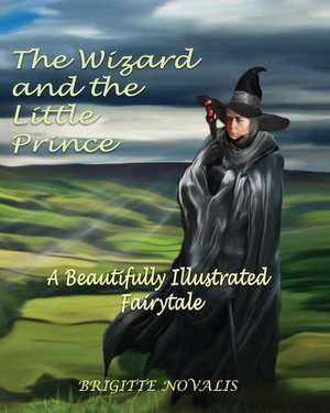 The Wizard and the Little Prince: A beautifully illustrated fairy tale de Brigitte Novalis