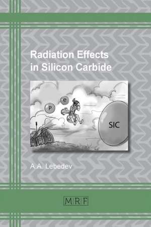 Radiation Effects in Silicon Carbide de A. A. Lebedev