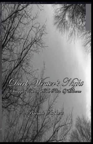 Dark Winter's Night de Brenda Stephens