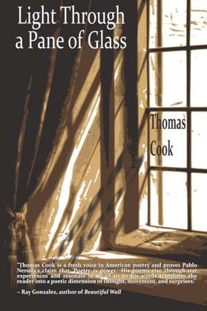 Light Through a Pane of Glass de Thomas Cook