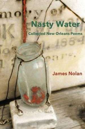 Nasty Water de James Nolan